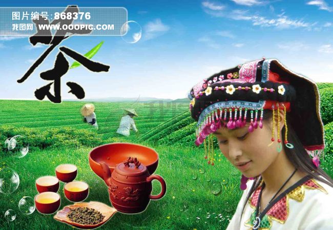 <em>茶花女</em>的海报模板<em>下载</em>(图片编号:868376)__广