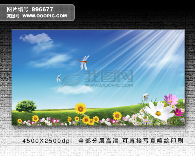 书是人类进步的阶梯模板下载(图片编号:896677)_学校展板设计_展板设计|党政|学校|企业_我图网weili.ooopic.com