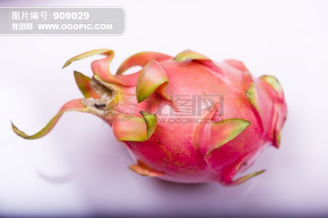 一个火龙果图片素材(图片编号:909029)_饮食图