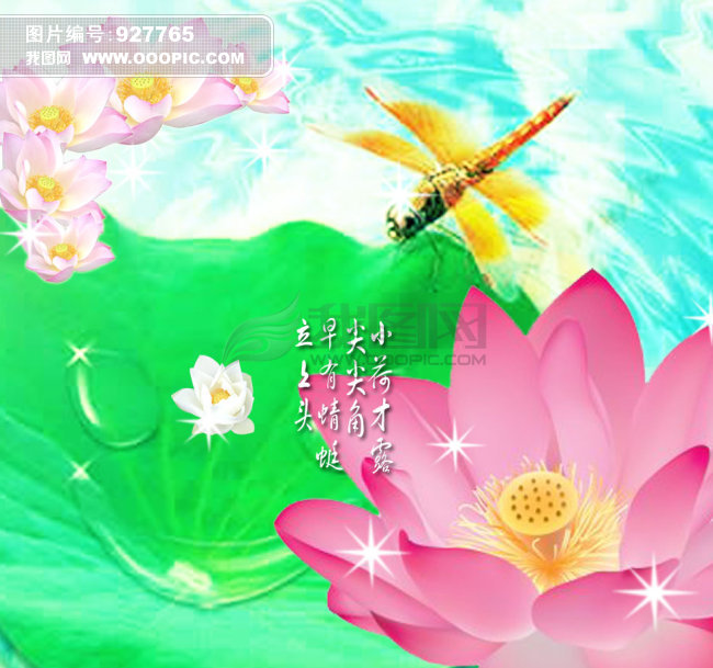 <em>小池</em>荷花模板下载(图片编号:927765)_移门_室