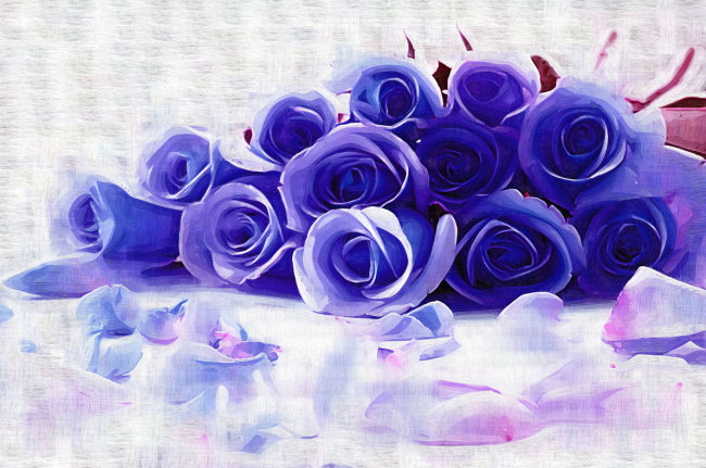 紫色玫瑰花_紫色玫瑰花代表什么_紫色玫瑰花花语_图片大全_图片搜索