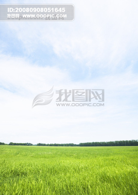 自然风景 天空草地 蓝天白云 草原小草 阳光树木