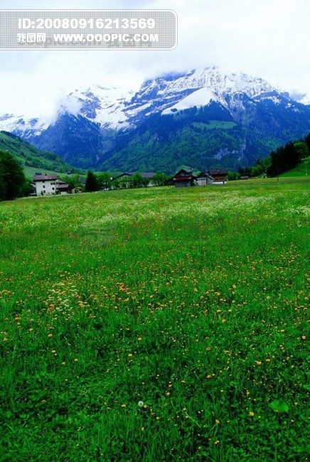 新西兰澳大利亚风景风光建筑高楼风情民俗楼房