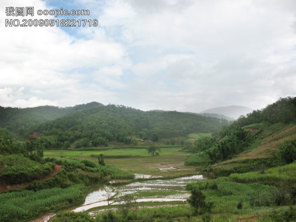 【视频】山沟沟歌词简谱,山沟沟歌词简谱qvod