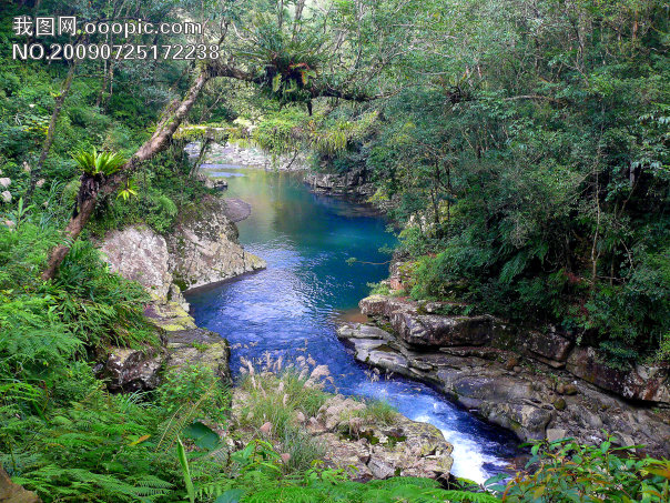 树 绿色 水 植物 风景_山水风景_自然景观