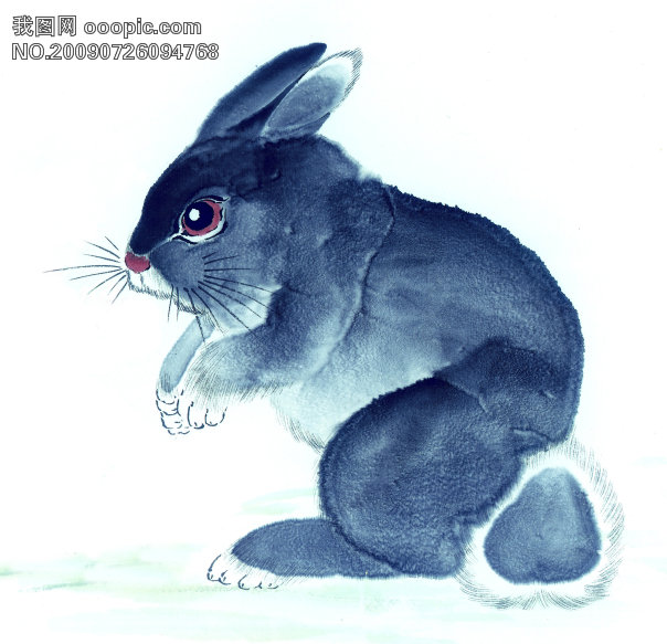 兔子艺术绘画图片_兔子凌风陶启全手绘画画艺术彩色圆珠笔画…