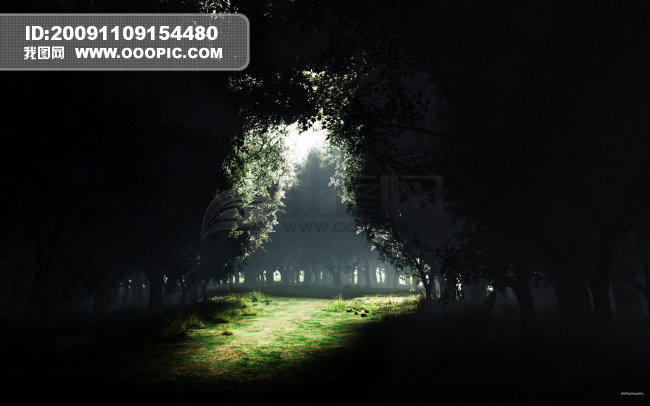 高清壁纸美图下载