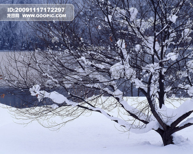 冬天雪景图片