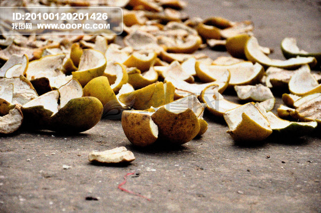 晒干的柚子皮模板下载(图片编号:843409)__风