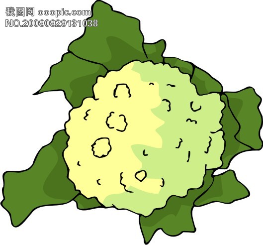 蔬菜卡通菜花图18