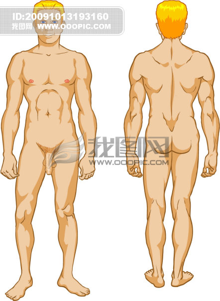 男性人体素材模板下载(图片编号:702380)__矢量人