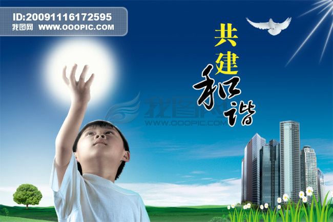 鸽子林晨阳曲谱