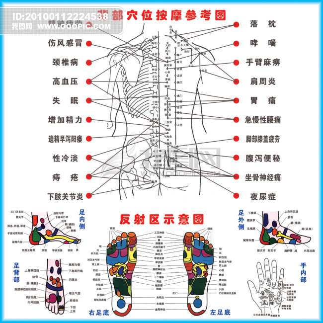 穴位图片模板下载(图片编号:831531)_其他展板设计_展板设计|党政|学校 