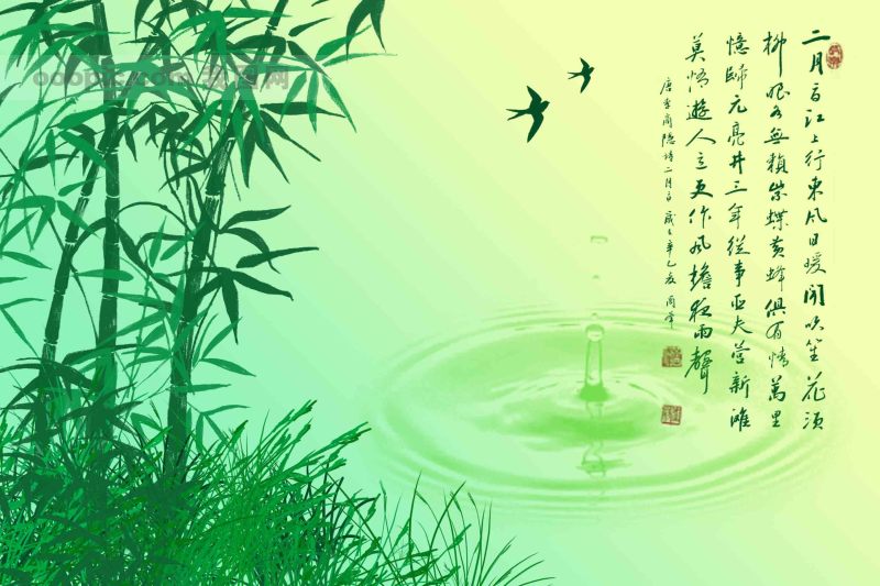 描写竹子的最佳诗句 - 竹子的日志 - 网易博客