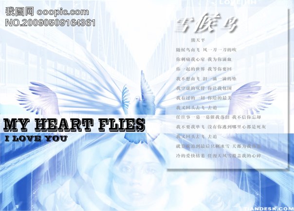 经典时尚 ps分层 流行音乐CD 熊天平 雪候鸟 C