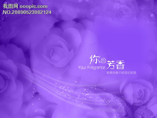 紫色婚纱模板ps素材(3)