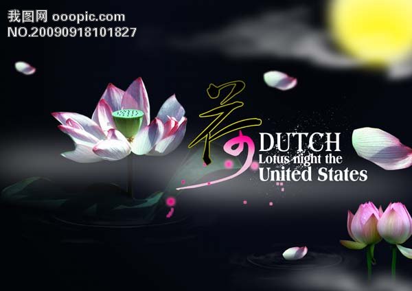 图猜成语莲花在水中有倒影_月亮在水中的倒影图片