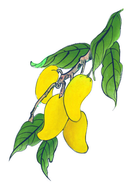 中国艺术水墨芒果插画高清图片下载